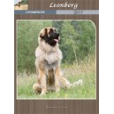 Leonberg 2017